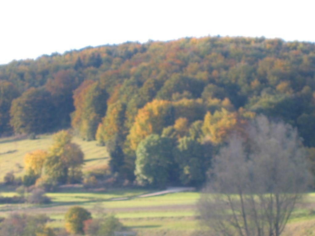 Gasthof Zum Lamm Gomadingen Exteriér fotografie